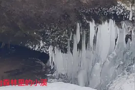 原始森林里的小溪，不畏艰难险阻，一路前行，向前冲！视频封面
