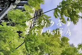 新站区绿都少荃府，品质住宅，竹溪小学，168中学，品质看得见视频封面