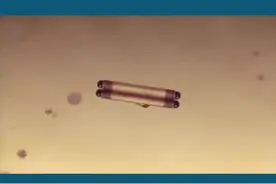 #世遗泉州中国之最 #泉州安平桥 #中国现存最长的跨海梁式古石桥视频封面