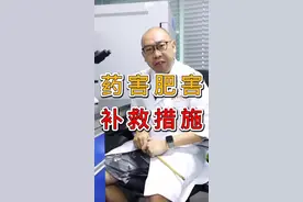 发生药害肥害怎么办？三步解决！#药害#肥害 @抖音短视频视频封面
