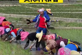 中央财政下达资金100亿元 再次向实际种粮农民发放农资补贴#种粮农民 #农资补贴 #三农 @DOU+小助手视频封面