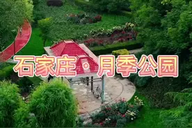 #石家庄  的市花：月季，顽强不屈坚韧不拔代表了石家庄人的良好品格。整修后月季公园开放啦！大家看看发生了哪些变化#石家庄吃喝玩乐 #石家庄遛娃好去处 #我爱石家庄 #最美城市风景视频封面