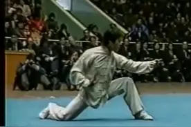 《岳家小将》反派“金弹子”主演、原江苏武术队张成忠演练醉拳#中华武术视频封面