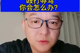 如果半夜有陌生人破门而入你家，辱骂殴打，你会怎么办？？？ #大v快评 视频封面