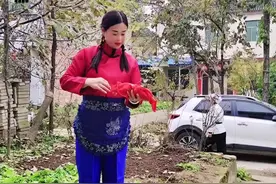 #眉户 #眉户戏@心肝宝贝9057  眉户《梁秋燕》梁小成和菊连的唱段视频封面