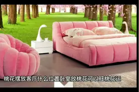 桃花摆放客厅什么位置##传统文化 #生肖 #原创视频封面