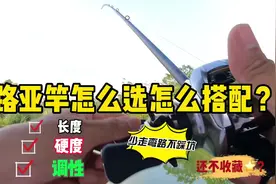 路亚竿新手怎么选？长度、硬度调性怎么搭配？选对少走弯路不踩坑视频封面