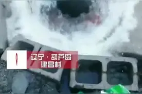 辽宁农民打井“打出一口喷泉” 😱靠人力堵不住，乡长调挖掘机引渠