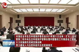 刘强：大力实施绿色低碳发展战略视频封面