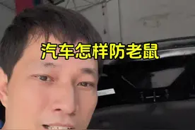 你们的汽车怎样防老鼠？#汽车知识分享 #用车知识 #怎么防止老鼠进发动机舱 #懂车小知识 #驱鼠视频封面