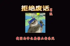 在高速上为什么很少能看见超跑#冷知识 #涨知识啦 #dou是知识视频封面