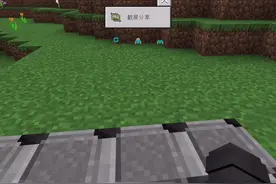 #我是世界 #生存 不能踩到草方块，踩到草方块的话就会原地升天