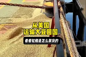 从美国运输大豆回国，带大家看看轮船是怎么装货的视频封面