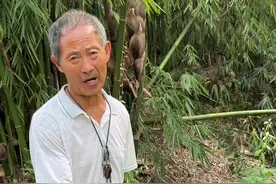 通花杆#你的家乡有这种植物吗 #植物科普 #识百草