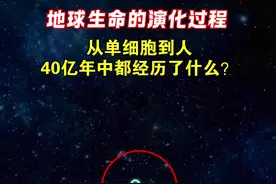 地球生命的演化过程中都经历了什么？
