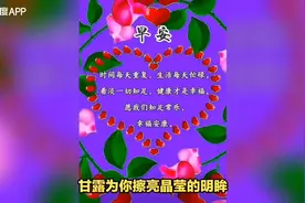 给中老年人早安吉祥的问候语 温暖人心的早上好正能量句子视频封面
