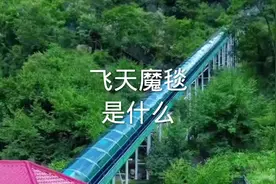 飞天魔毯到底是什么？广西德天瀑布景区一项目发生故障1死60伤 。视频封面