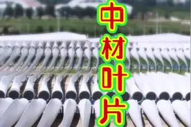 #上热门🔥 中材科技风电叶片产品紧扣新能源、航空航天、节能减排视频封面