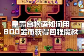 星露谷物语如何用800金币获得回程魔杖？#星露谷物语 #星露谷