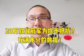 20万叙政府军为啥不抵抗？充满水分的数据！