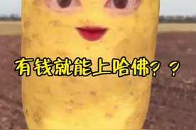 有钱就能上哈佛？？你信？#哈佛 #姚安娜 #猎冰 #姚安娜回应演技争议视频封面