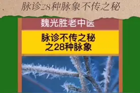 脉诊28种脉象不传之秘#传承中医文化 #养生就是养健康视频封面