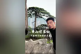 迎客松历经千年岁月，仍然屹立不倒，它见证了无数游客的到来和离去，见证了黄山的风雨沧桑#黄山 #迎客松 #旅行推荐官视频封面