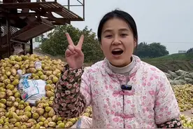 乡村振兴，助农增收！我在行动！希望越来越多年轻朋友回到家乡宣传家乡#农村生活 #三农 #农业 #新农人 #美食 @抖音三农 @乡村守护人 @抖音电商视频封面