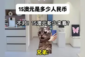 15澳元是多少人民币啊？ #猫meme #内容启发搜索 #猫meme小剧场
