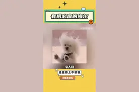 是谁爽了，我不说#萌宠 #海尔宣布懒人洗衣机即将上市视频封面