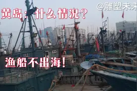 黄岛：什么情况？渔船不出海捕鱼？！#渔民生活实拍视频封面