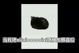 《iaioooooiaiio版臭猫》#倒放视频封面