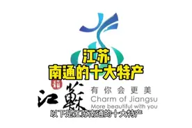 江苏南通的十大特产#地方特色美食 #分享家乡特产 #特产