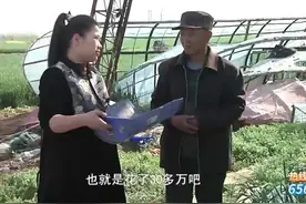 69岁老农耗资30万 自主研制风力发电机！30万能收回来吗？视频封面