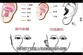 面相小知识之👂(二)双耳贴脑：责任心重，顾家 耳白过面：聪明