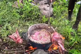 原始部落，哈扎比猎人#非洲生活 #原始部落视频封面