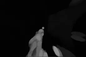 迷雾荒岛蓝海湾boss点密码箱密码是多少呢～#和平精英地铁逃生