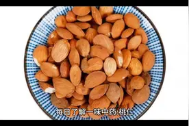 每日了解一味中药一一桃仁。视频封面