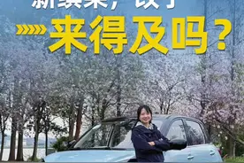 缤果，拼命补了短板，还来得及吗？ 面对海鸥智驾版、星愿、AION UT的竞争，缤果够优秀吗？#新能源电动汽车 #五菱缤果 #五菱 #7万左右有什么好车视频封面