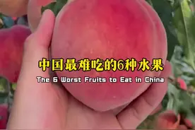 中国最难吃的6种水果 看你都吃过了没有？ #广西dou知道 #广西水果自由 #助力三农 #新农人计划 #抖音助农扶农