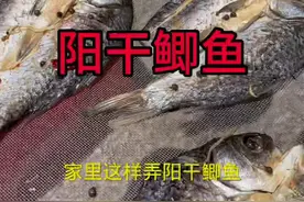 这样弄阳干鲫鱼，又卫生，方法简单易学。@天门谋哥（日常）