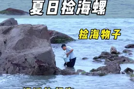 夏天去海里捡海螺是最舒服的，今天是实现海螺自由的一天，我们一个多小时随便捡了两三斤！诗哥做了个香辣小海螺，过瘾了！#新农人计划2024 #小院生活 #这是谁梦想中的生活 #捡海螺 #户外赶海抓海鲜视频封面