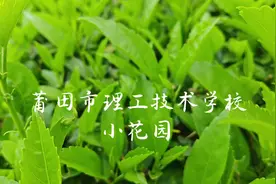莆田市理工技术学校欢迎你 #志愿填报 #报考志愿 #招生简章
