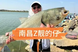 在南昌钓鲢鳙，为什么别人狂拉爆护，你却只能‘空军’收场？🤔#南昌钓鱼 #赣江鲢鳙 #钓鱼技巧 #户外野钓 #爆护秘籍视频封面