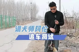 你家狗追车吗？#训犬 #训犬教程 #狗狗 #马犬 #训狗经验分享视频封面