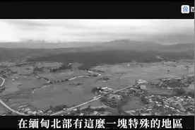 缅北为什么都是中国人视频封面