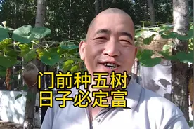 门前种这五种树，日子越过越富。#农村 #我的乡村生活 #视频封面