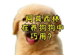 阿莫西林在养狗狗中的巧用？#萌宠出道计划 #宠萌 #狗狗视频封面
