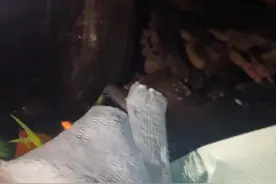 下次别在我开车的时候说分手了，好吗？宝贝视频封面