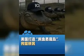 美国打造“鳄鱼恶魔岛”拘留移民，特朗普专程去“剪彩”！